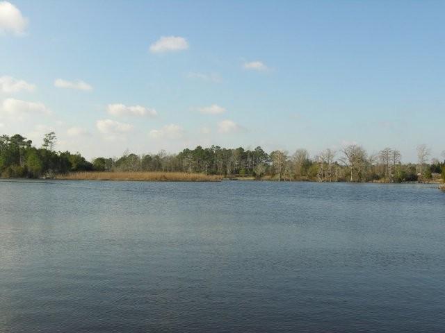 Pictures of New River in Jacksonville NC - Home Search Jacksonville NC Blog