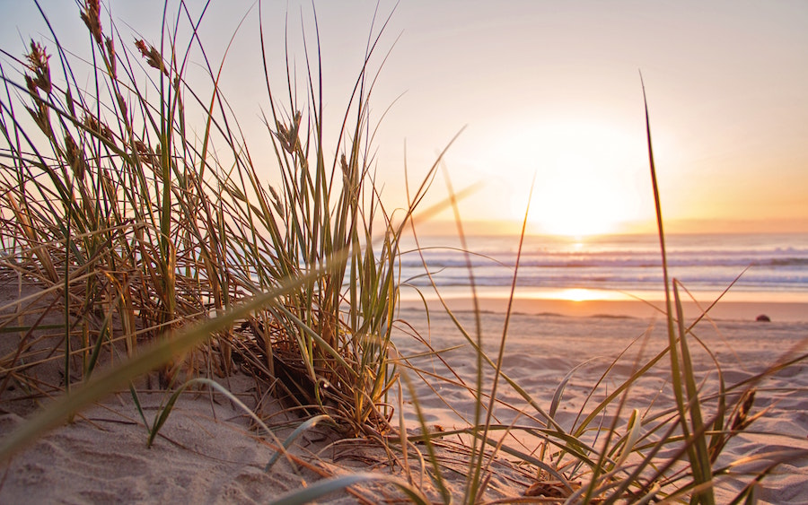 The beach at sunset.